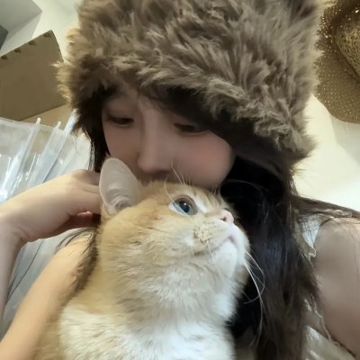 在阳光下腐烂
